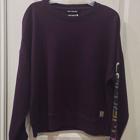 Carhartt Tencel Fiber Series Loose Fit Sleeve Graphic Sweatshirt - Picture 7 of 8
